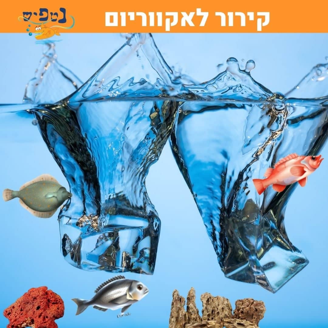 קירור לאקווריום